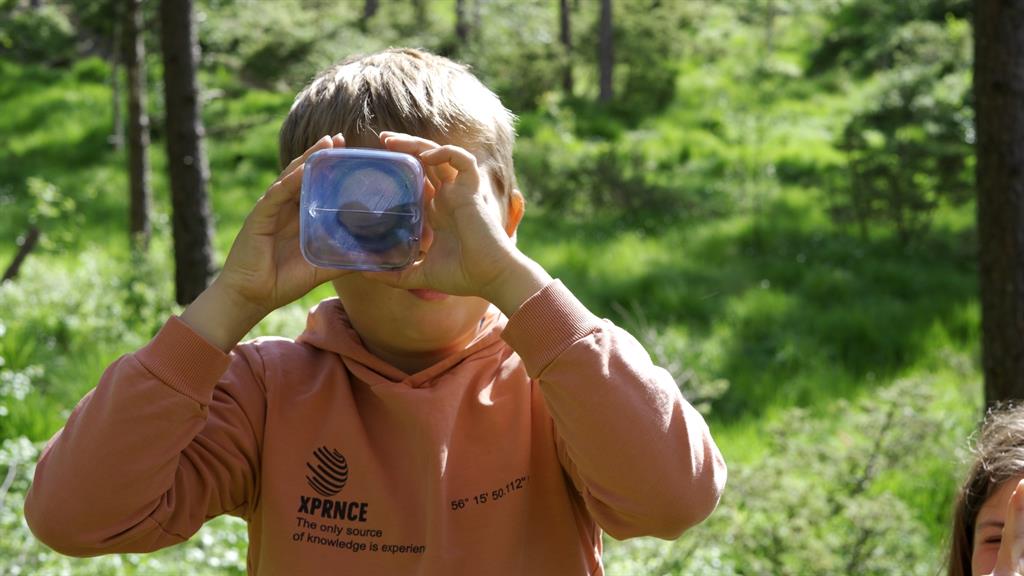 Årsstudium i naturfag